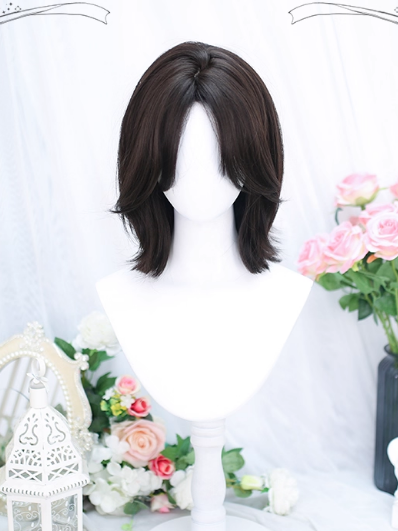 Length Black Shoulder Wig Bangs Straight Curtain