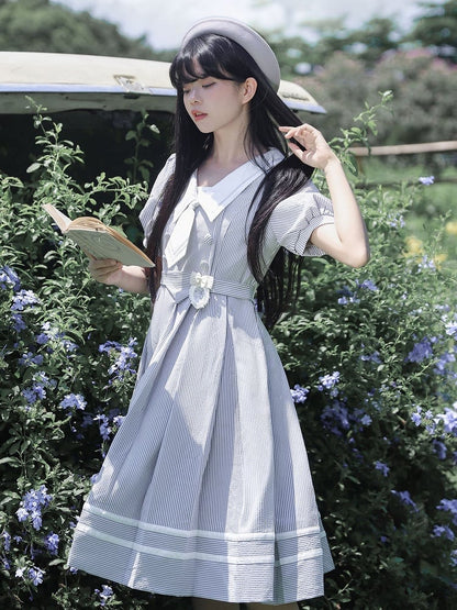 with Mirror-shaped Blue White Pattern Floral Brooch