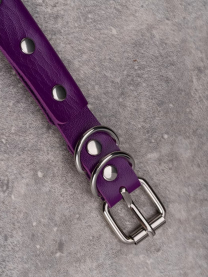 Bird Choker Silver Gothic Pendant Purple Bone Studs Details