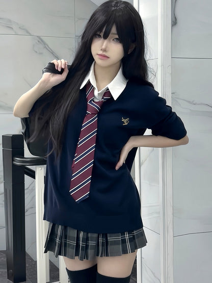 Blue/Black/Gray/White V-neck Embroidery Sweater Letter