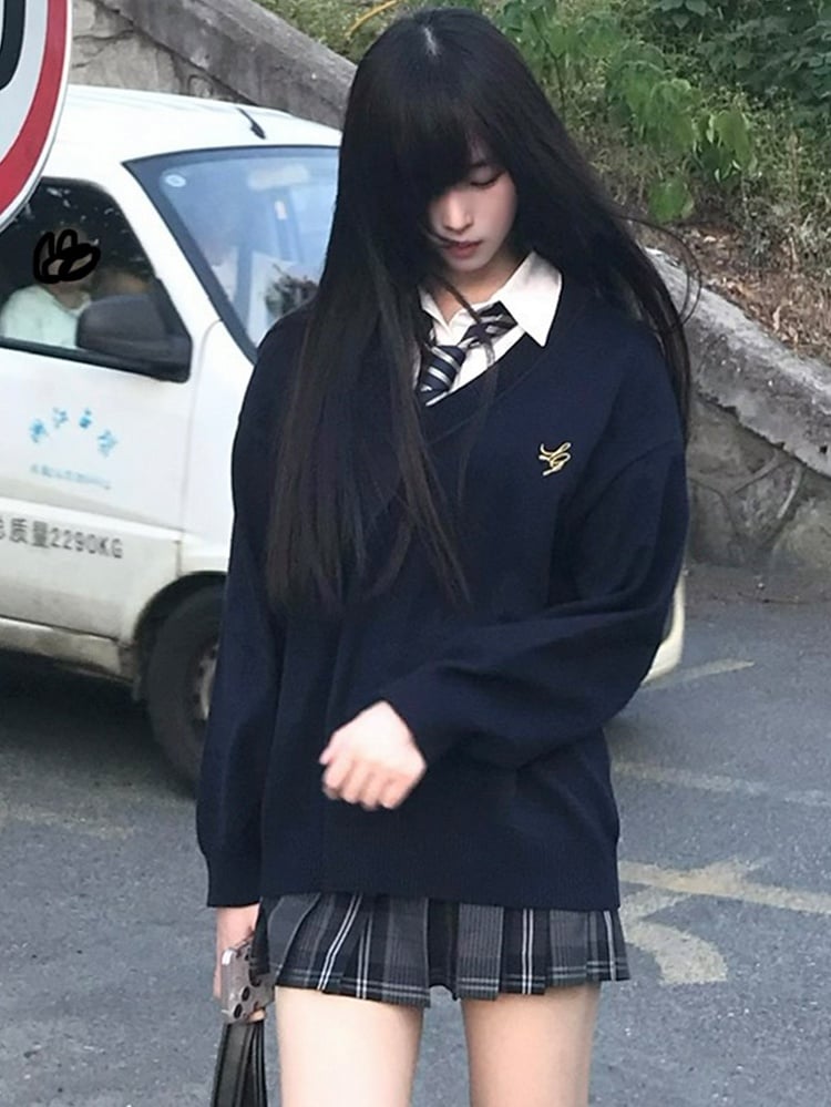 Blue/Black/Gray/White V-neck Embroidery Sweater Letter