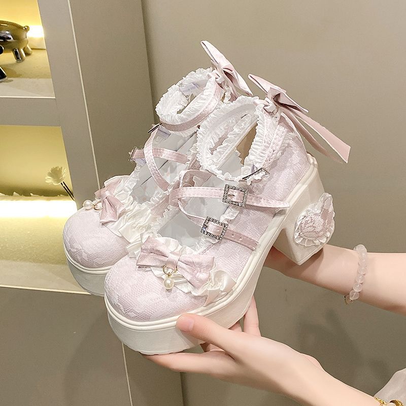 Lolita Lace Mary Jane Block Heel Shoes – Soft Sole Sweet Pumps