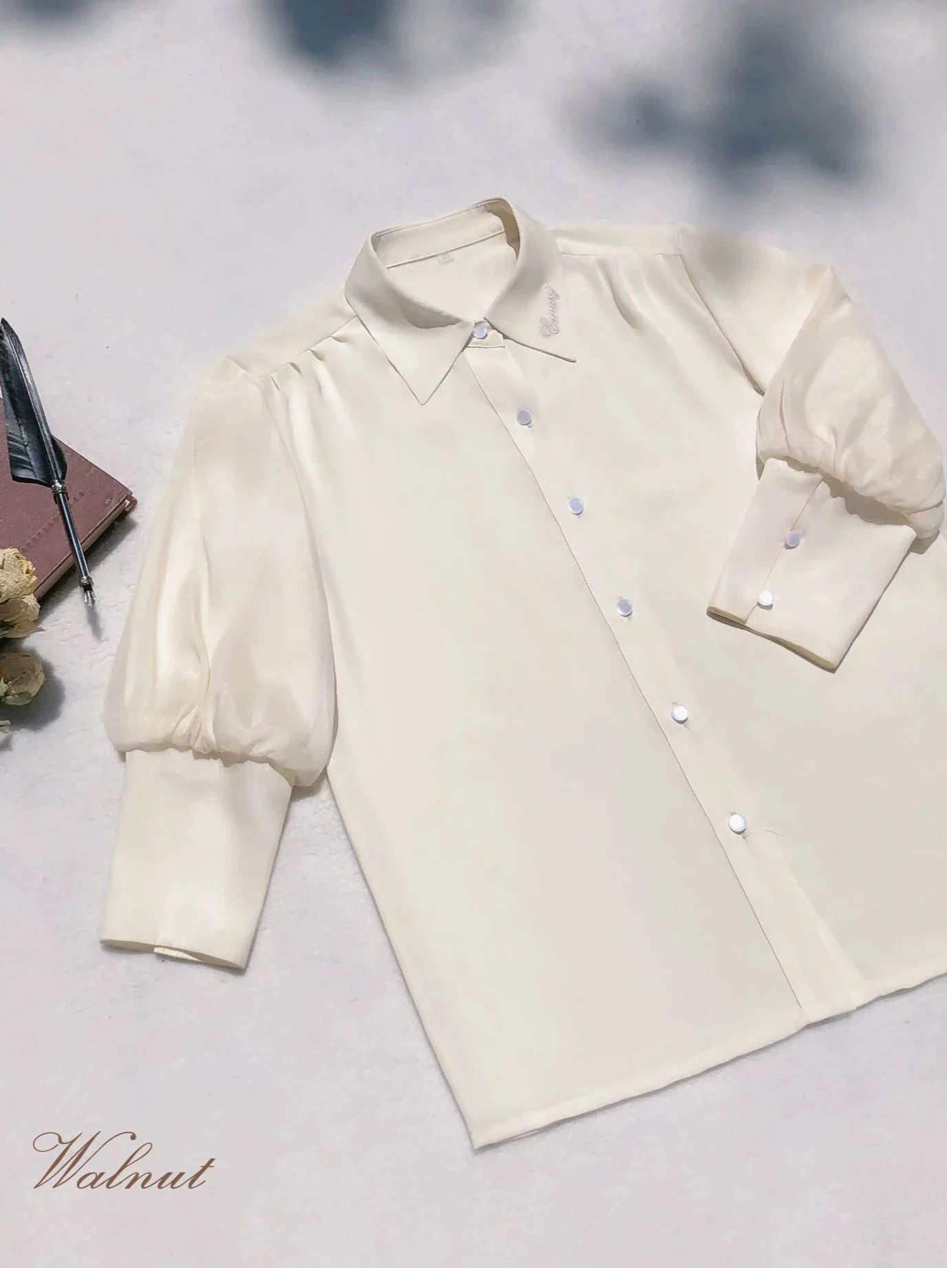 Chiffon Skirt Style Ribbon Inner Accessories V-Neck Cream Shirt College Vest