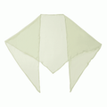 Light Green Shawl