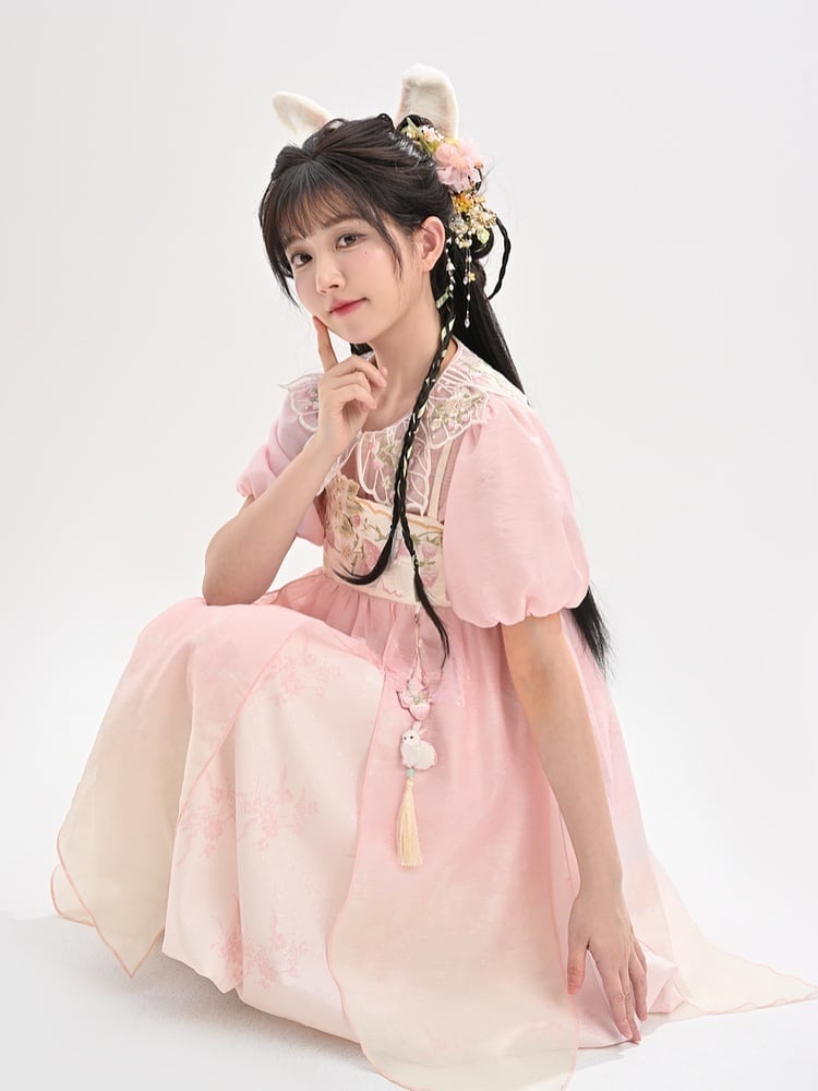 Ombre Style Spaghettiträgerkleid Empire Rosa Taille Erdbeerstickerei Cheongsam