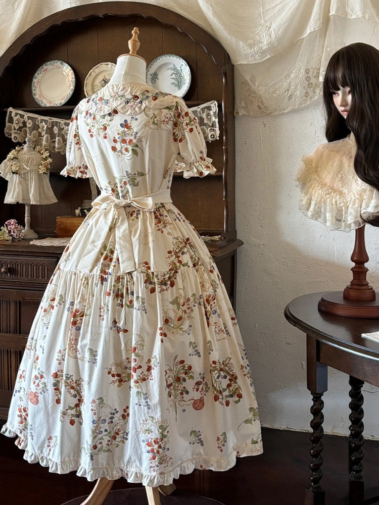 Beige A-Line Dress with Berry Embroidery and Lace Details - Zoncel