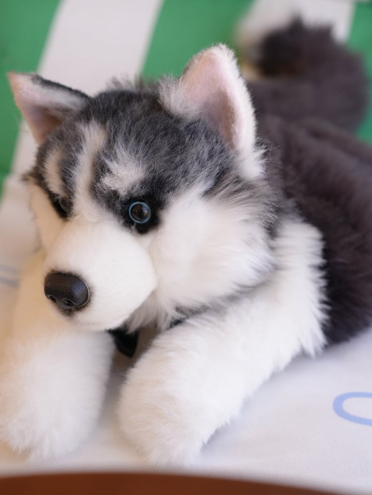 Dog Bag Backpack/Crossbody Realistic Cute Plush