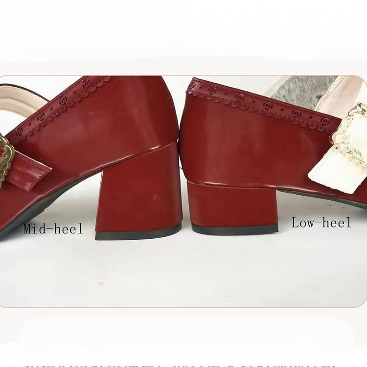 Closure Apricot Lolita Cut-Outs Low-heel/Mid-heel Shoes with Floral PU Classic Snap Practical