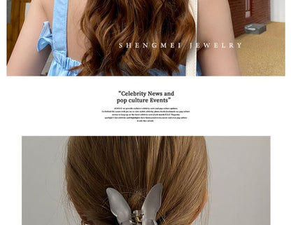 Mesh Claw Butterfly Hair