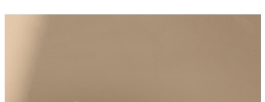 Stirnband mit Blumen- und Kunstperlen