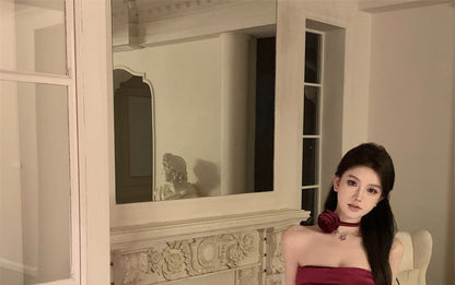 Plain Asymmetrical Drawstring Velvet Mini Sheath Tube Dress