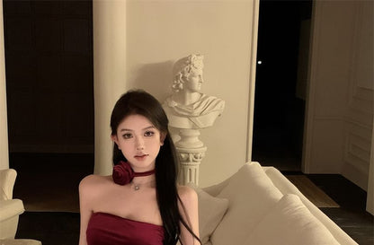 Plain Asymmetrical Drawstring Velvet Mini Sheath Tube Dress