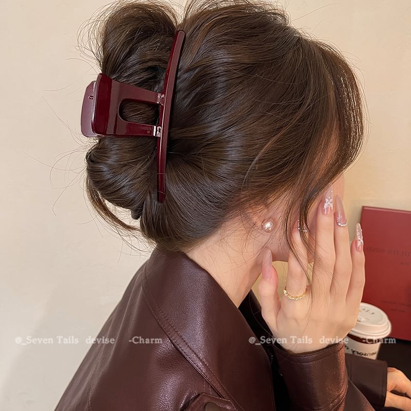 Claw Acrylic Clip Hair