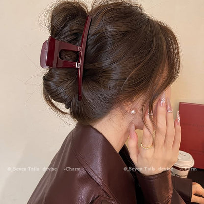 Claw Acrylic Clip Hair