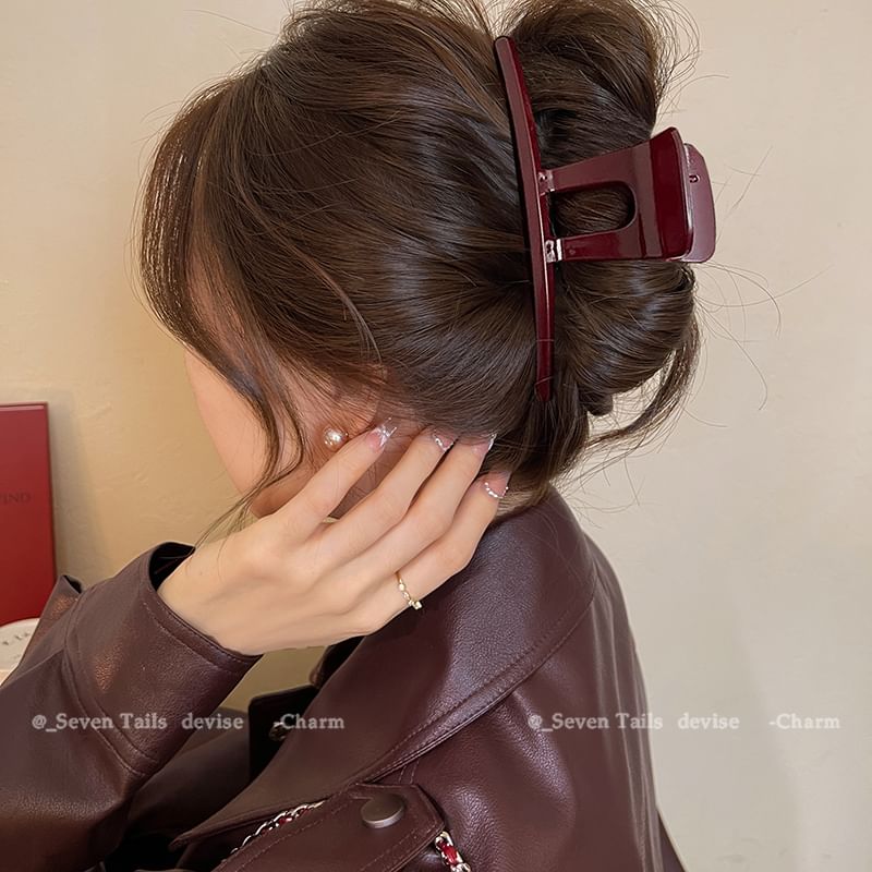 Claw Acrylic Clip Hair