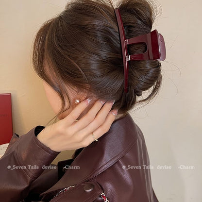 Claw Acrylic Clip Hair