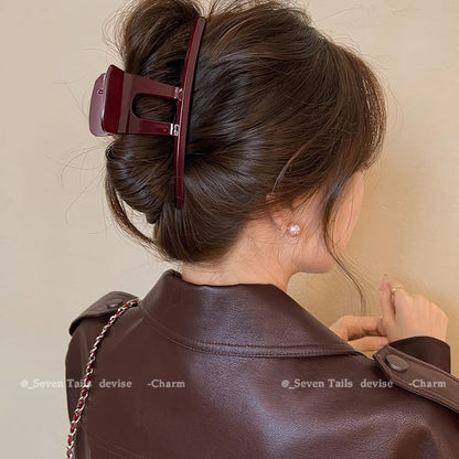 Claw Acrylic Clip Hair