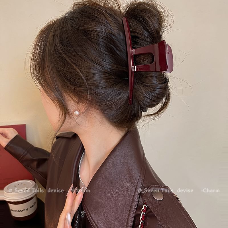 Claw Acrylic Clip Hair