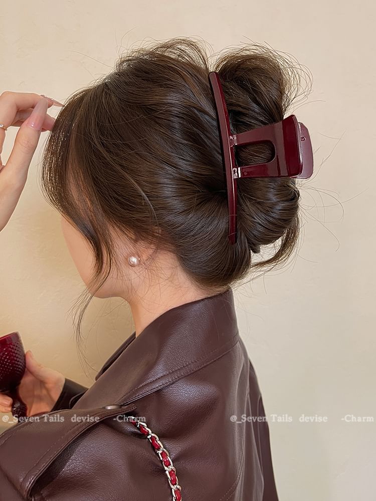 Claw Acrylic Clip Hair