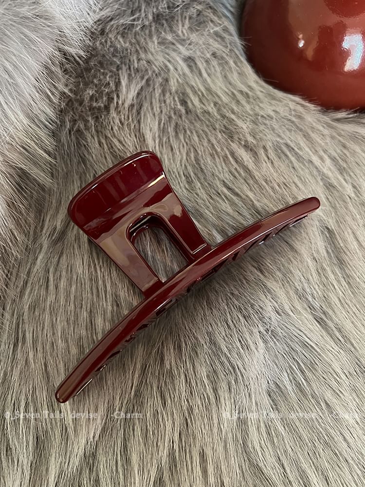 Claw Acrylic Clip Hair