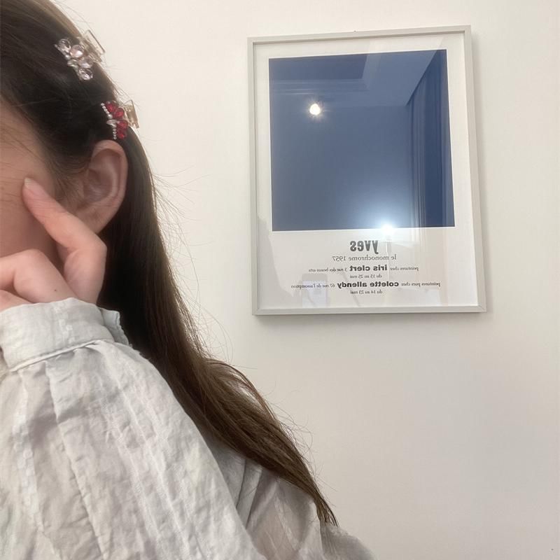 Rhinestone Acrylic Claw Hair Pearl Faux