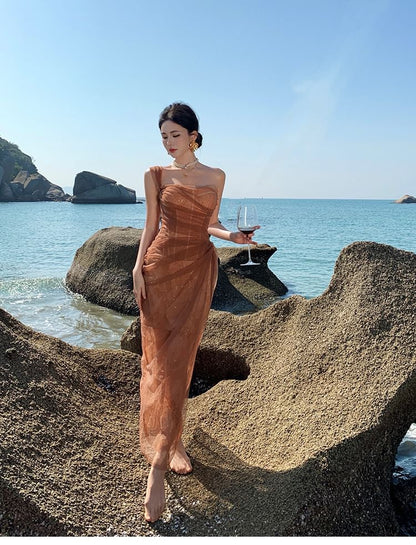 Strapless Mesh Maxi Sheath Dress