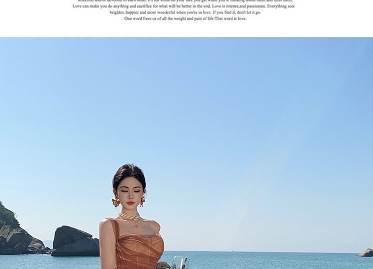 Strapless Mesh Maxi Sheath Dress