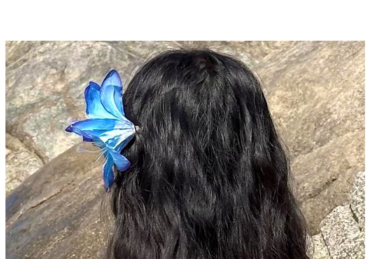 Clip Blume Haar