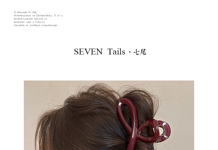 Claw Hair Acrylic Clip