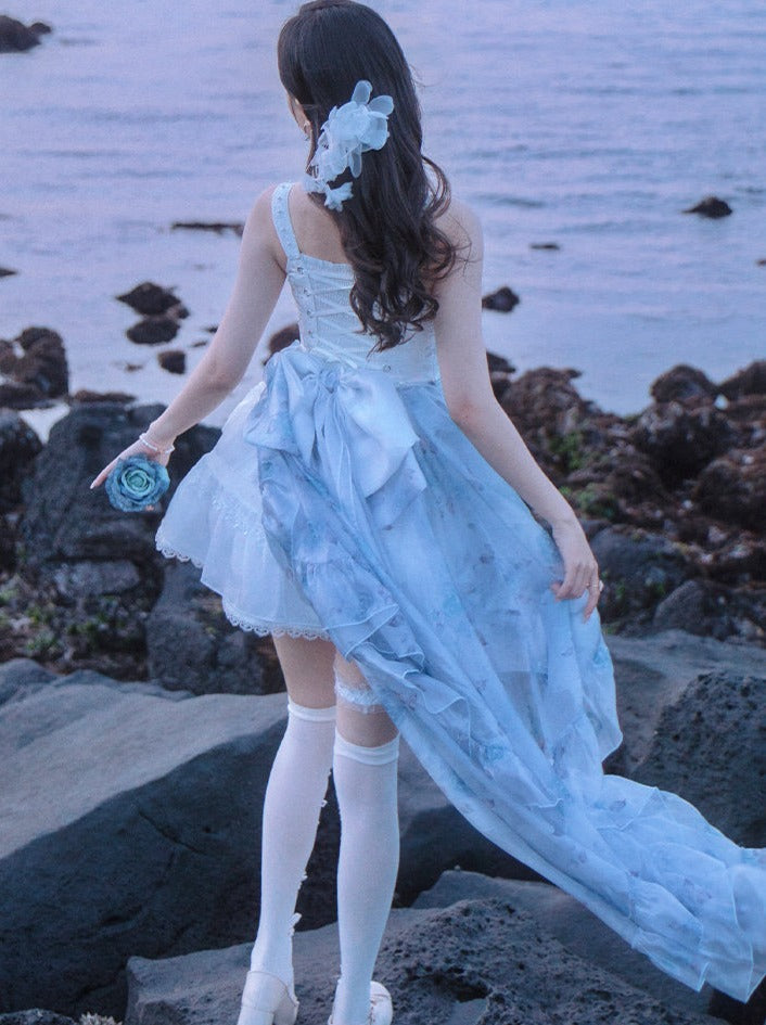 Suspender + Style Blue Sheer Dress Ballet Skirt Fishbone