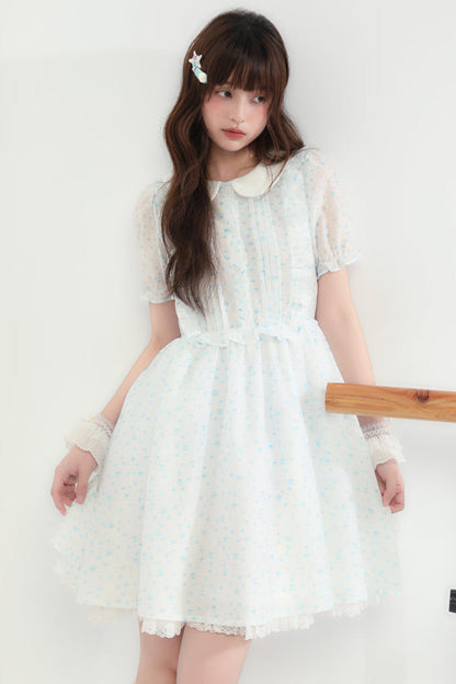 Blumenpuppenkleid, transparent, Ecosta