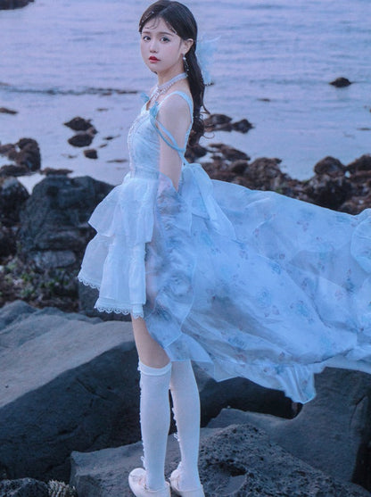 Suspender + Style Blue Sheer Dress Ballet Skirt Fishbone