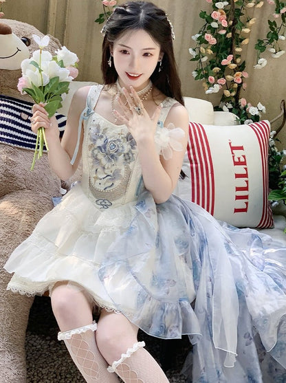 Suspender + Style Blue Sheer Dress Ballet Skirt Fishbone