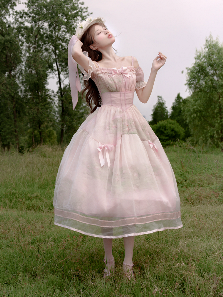 Painting Dress with Organza Overlay Oil Pink Water Lily Print Basque Waist Light