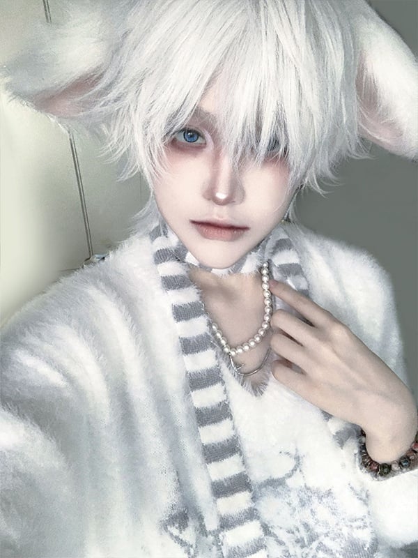 ホワイト王子ショートウィッグ