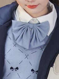 Blue/Pink Bow Tie
