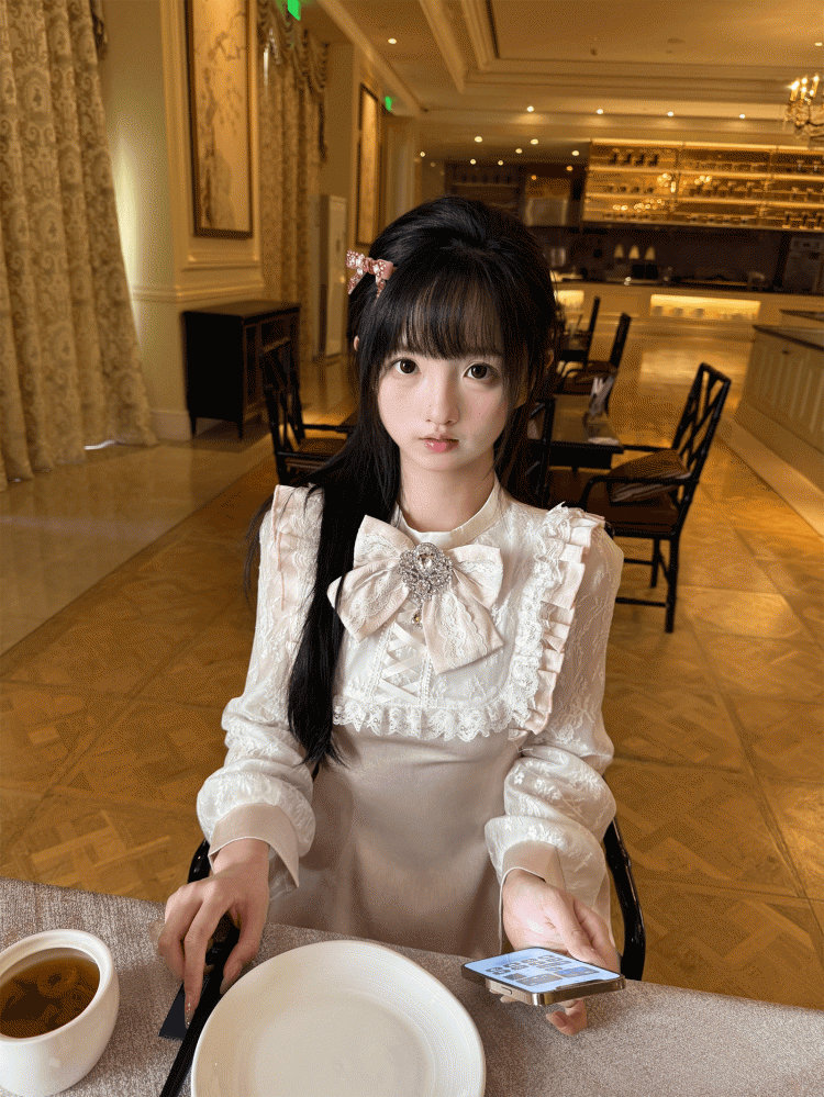 Embroidered Seiso Dress Landmine with Pink Style Sleeves Lace