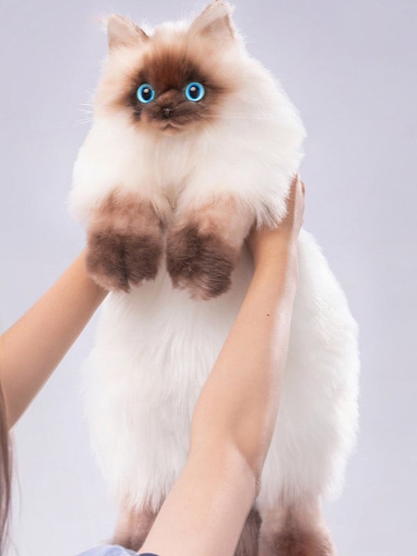 Large Siamese Cat Size - Bag Realistic Plush Backpack/Crossbody
