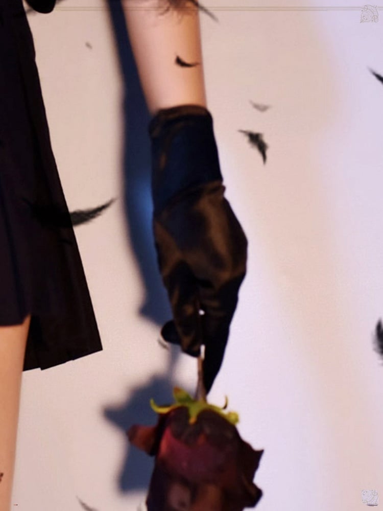 Black/White Gloves Satin