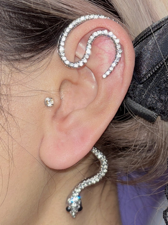 Gold/Silver Y2K Ear Snake-shaped Clip