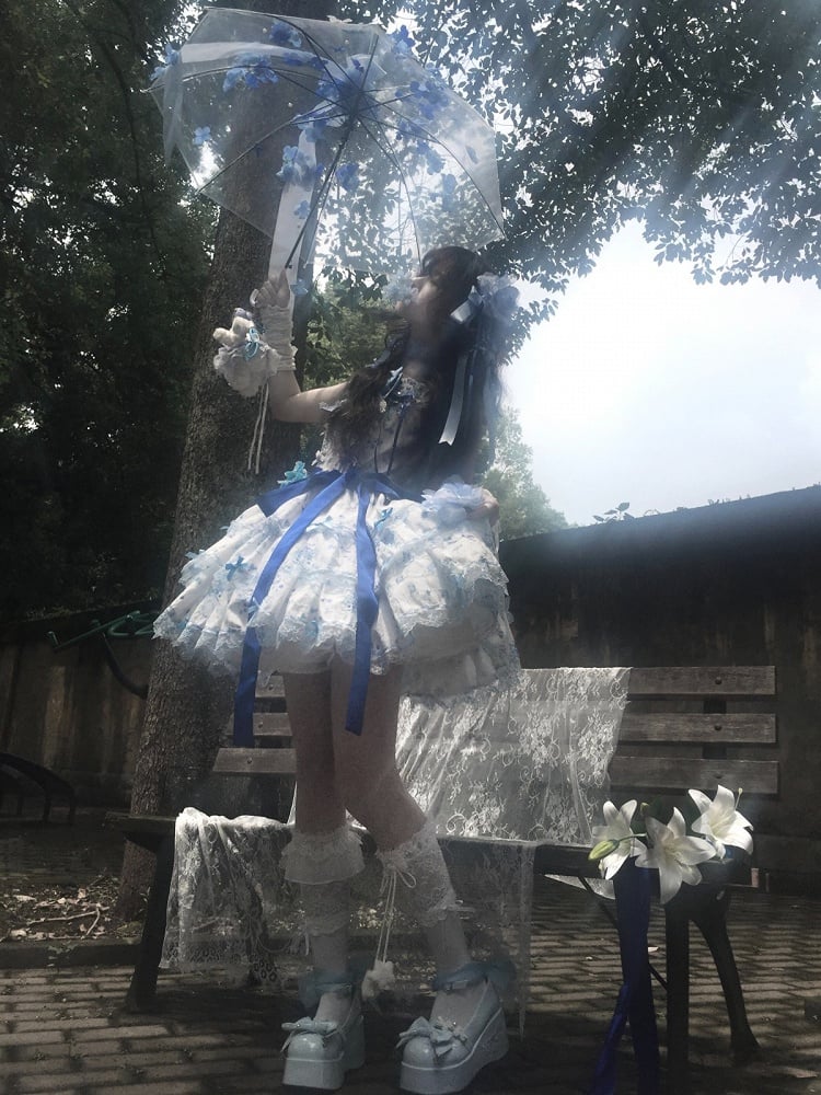 Blue & White Floral Print Lace-Up Lolita Dress Set with Bow Train & Floral Accents - signorina