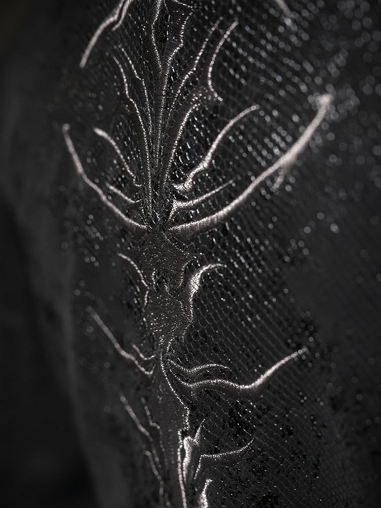 Spine Coat Ouji Collar Versatile Gothic Black Lizard Embroidery Fashion Back with