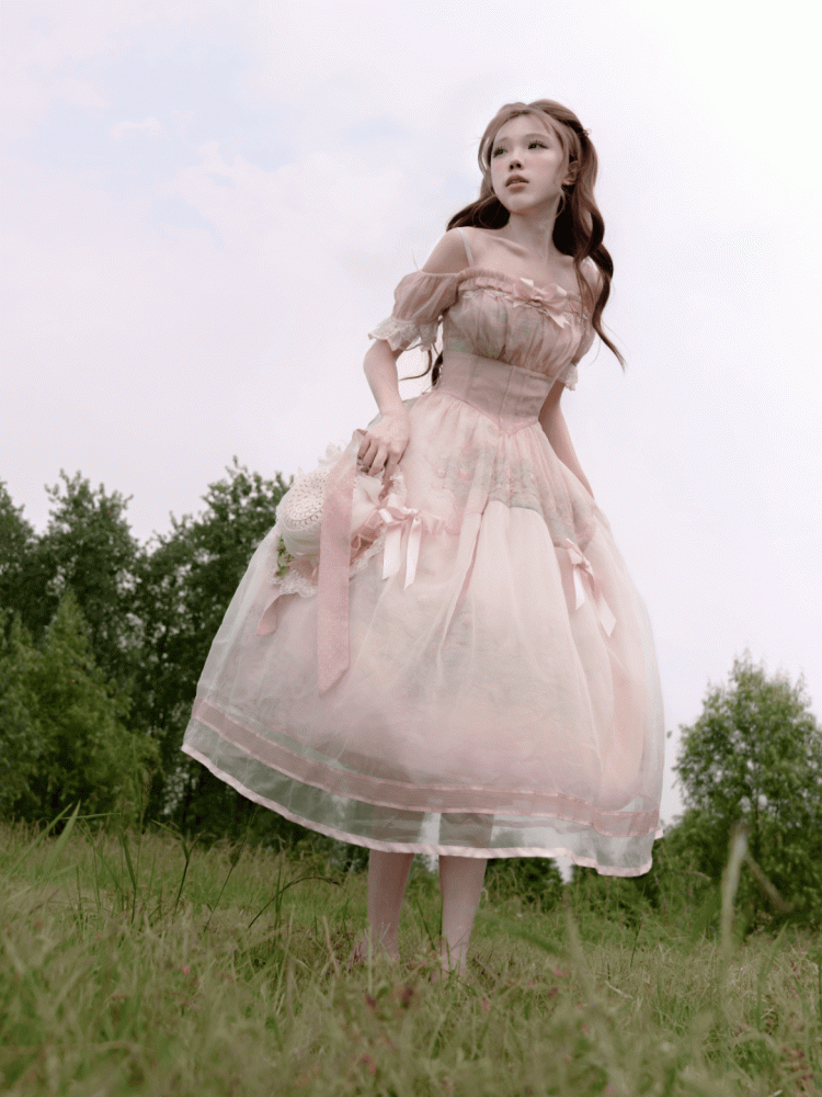 Painting Dress with Organza Overlay Oil Pink Water Lily Print Basque Waist Light