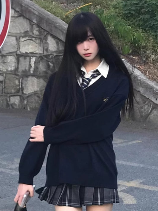 Blue/Black/Gray/White V-neck Embroidery Sweater Letter