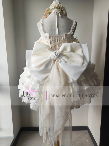 Beige balletcore princess Lolita dress real product photo, back view