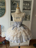 Skirt Corset Blue Boned Balletcore + Print Top Floral Lolita Princess