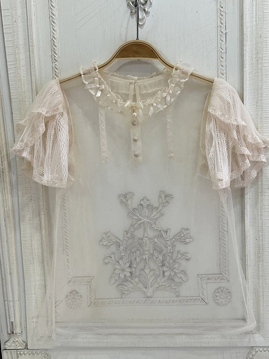 Beige Sheer Short Sleeves Top